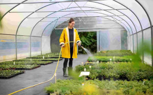 Şeffaf Çadır Sera Brandası