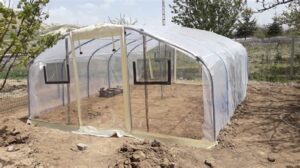 Sera Şeffaf Çadır